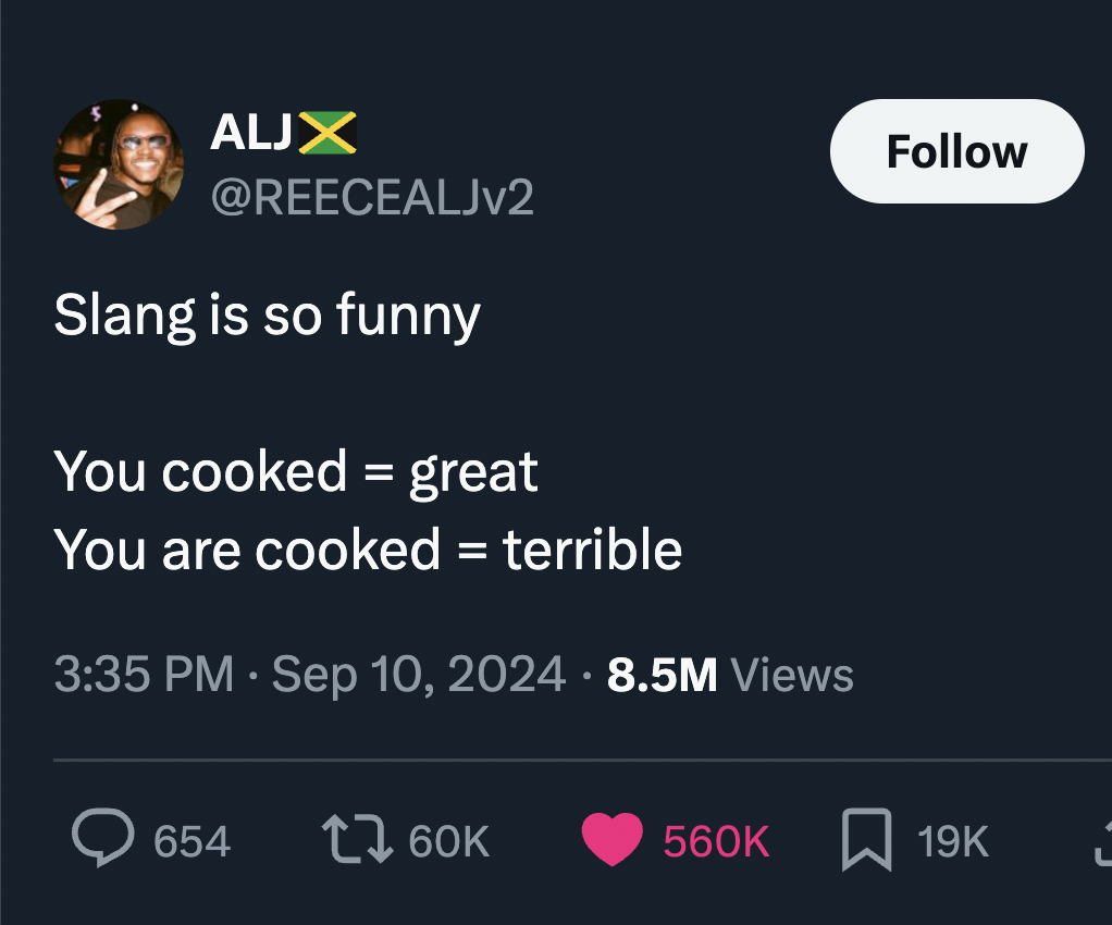 screenshot - Aljx Slang is so funny You cooked great You are cooked terrible 8.5M Views 19K